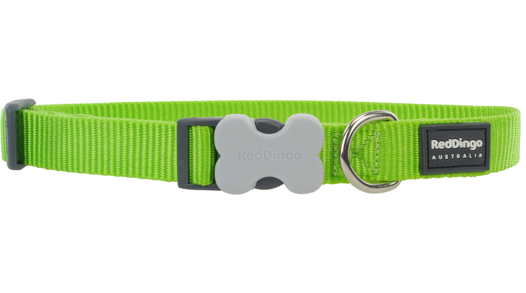 Red Dingo 'Classic Lime Green' Collar