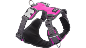 Red Dingo 'Hot Pink' Padded Harness