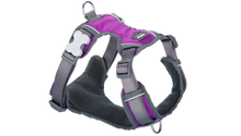Load image into Gallery viewer, Red Dingo &#39;Purple&#39; Padded Harness