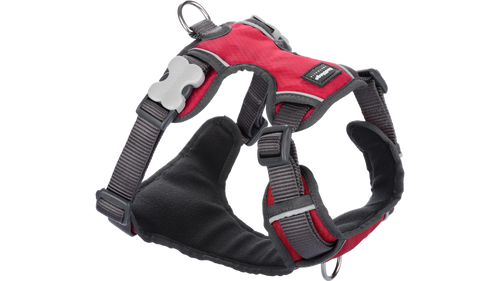 Red Dingo 'Red' Padded Harness