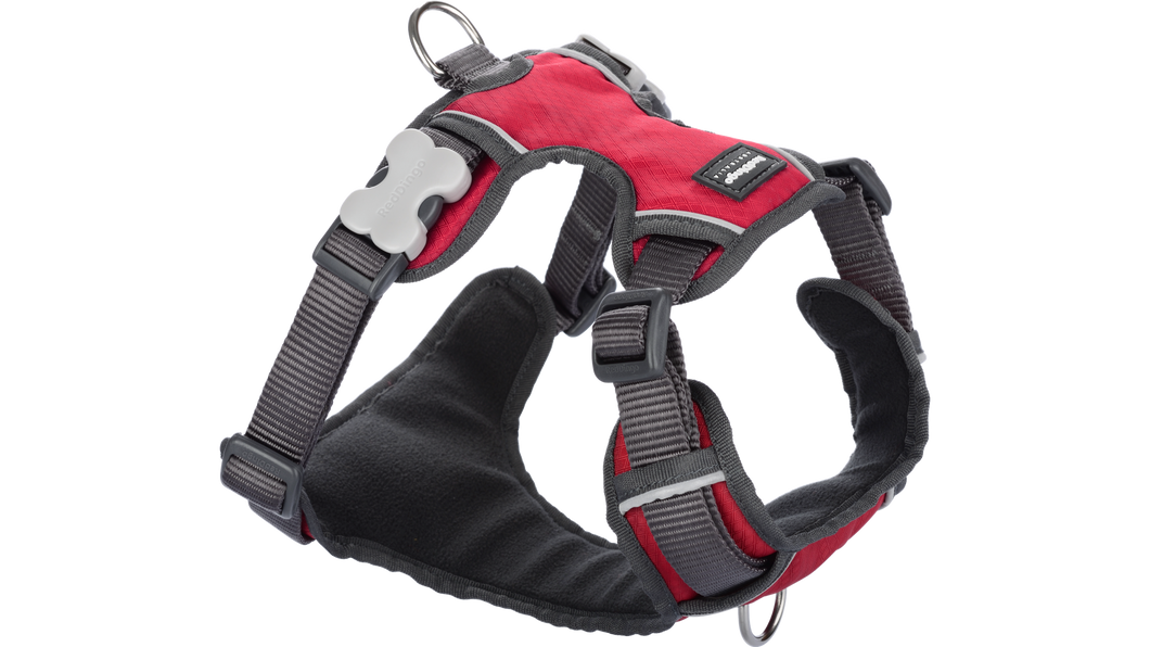 Red Dingo 'Red' Padded Harness