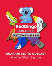 Load image into Gallery viewer, Red Dingo DURABLES - Cockatoo