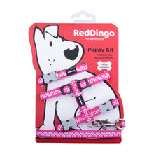 Load image into Gallery viewer, Red Dingo Puppy Pack - Design Gingham Hot Pink