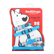 Load image into Gallery viewer, Red Dingo Puppy Pack - Classic Turquoise