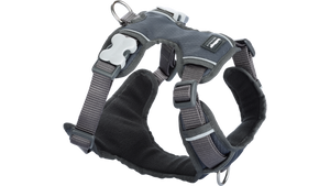 Red Dingo 'Cool Grey' Padded Harness