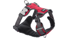 Load image into Gallery viewer, Red Dingo &#39;Red&#39; Padded Harness