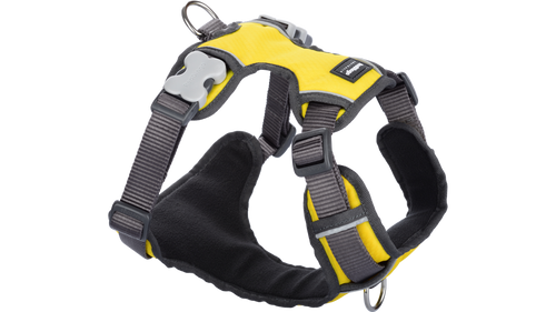 Red Dingo 'Yellow' Padded Harness