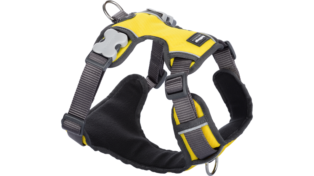 Red Dingo 'Yellow' Padded Harness
