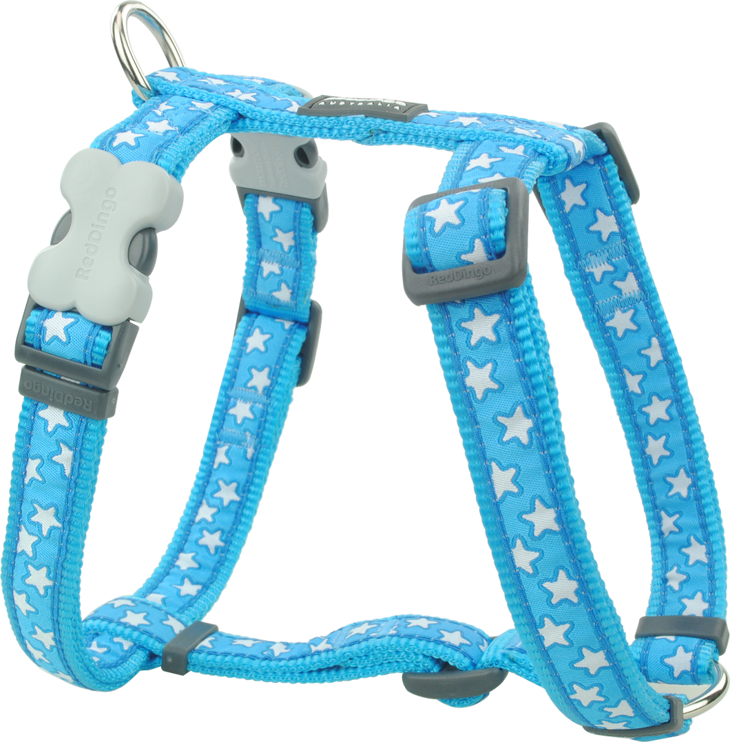 Stars White on Turquoise Harness