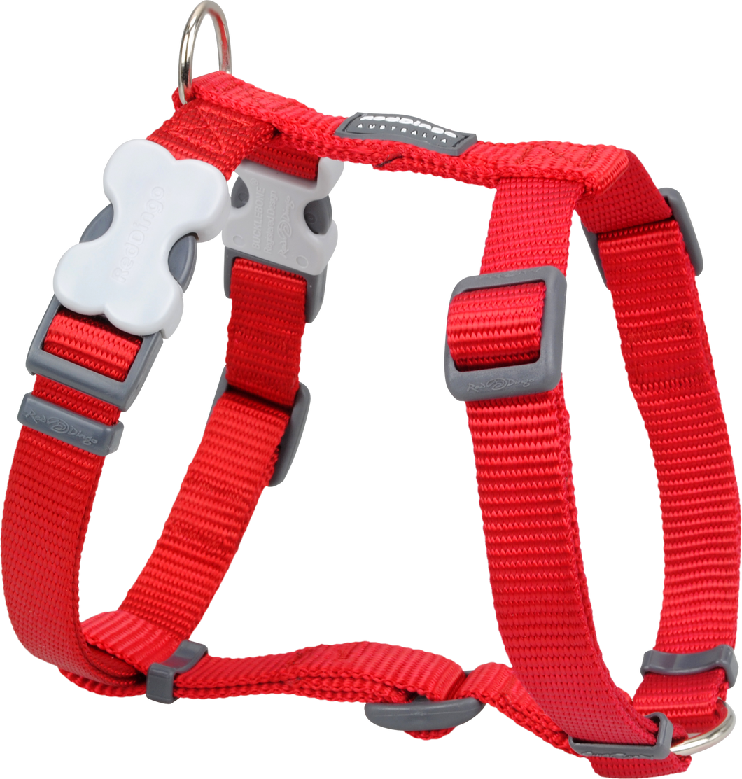 Classic Red Harness