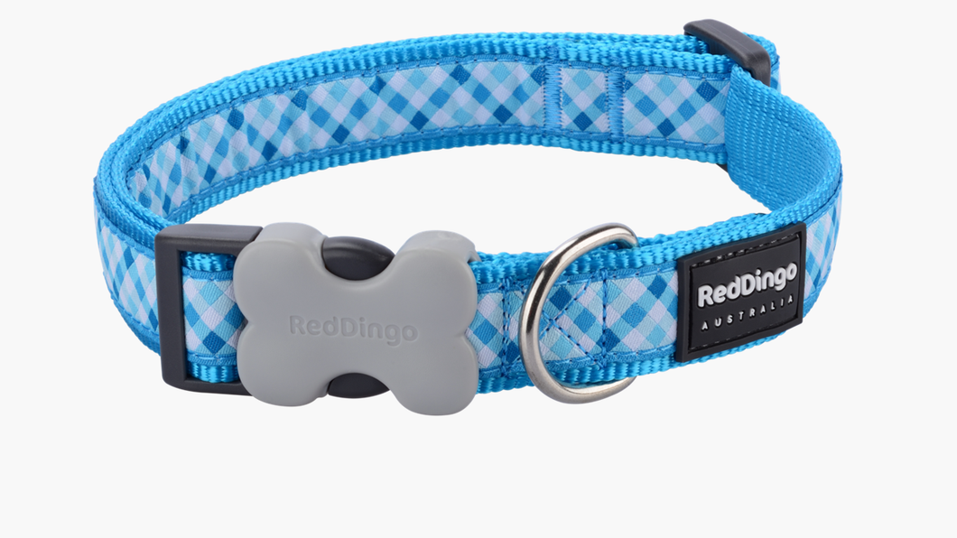 Red Dingo 'Gingham Turquoise' Collar