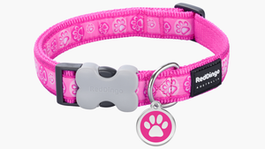 Red Dingo 'Paw Impressions' Hot Pink Collar