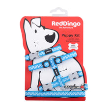 Load image into Gallery viewer, Red Dingo Puppy Pack - Design Gingham Turquoise