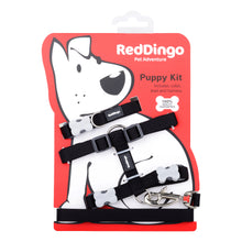 Load image into Gallery viewer, Red Dingo Puppy Pack - Classic Black