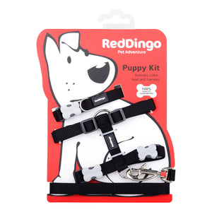 Red Dingo Puppy Pack - Classic Black
