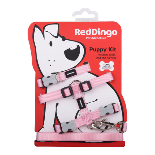 Red Dingo Puppy Pack - Classic Pink