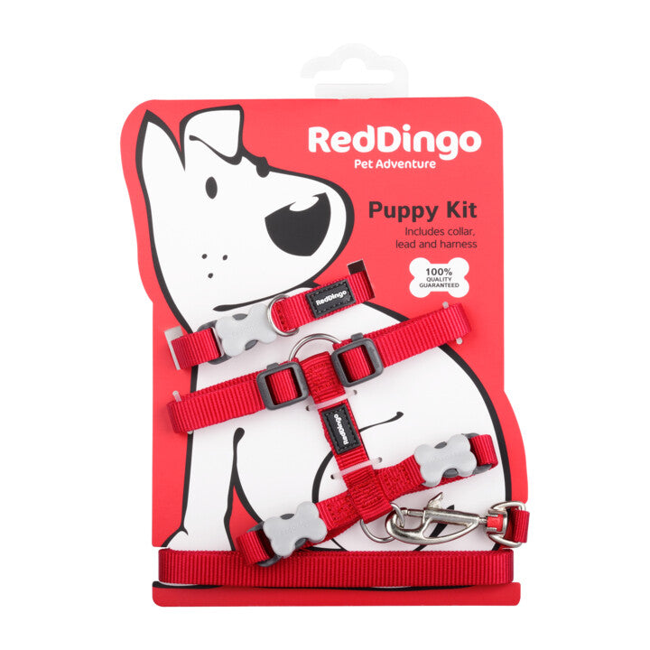Red Dingo Puppy Pack - Classic Red