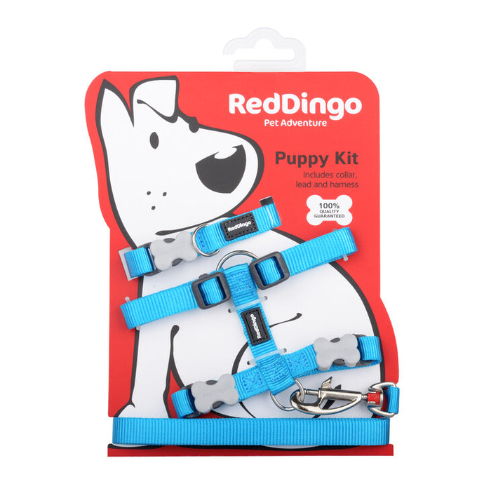 Red Dingo Puppy Pack - Classic Turquoise