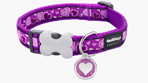 Red Dingo 'Breezy Love Purple' Collar
