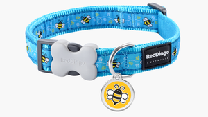 Red Dingo 'Bumble Bee Turquoise' Collar