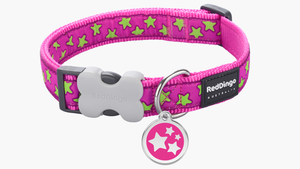 Red Dingo 'Stars Lime on Hot Pink' Collar